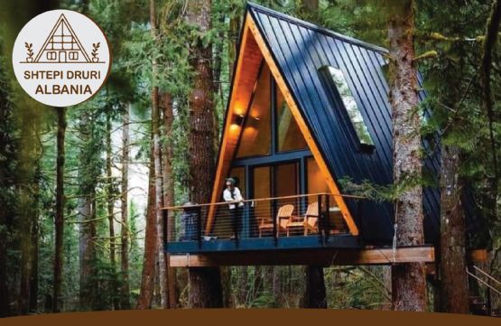 Ndertojme Villa Druri dhe Shtepi Druri 